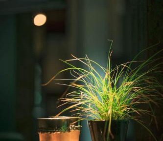 Deluxe Double Room with Bath