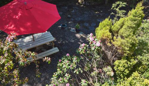 One-Bedroom Family Apartment