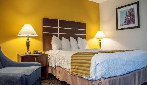 Queen Room - Non-Smoking