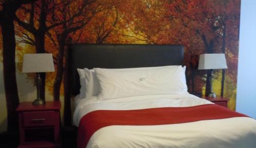 Standard Queen Room - Partial view