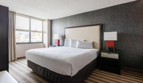 King 1 Bedroom Apartment