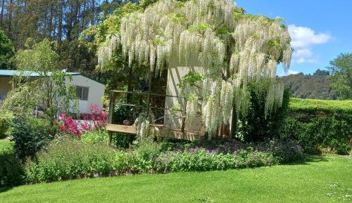 Queen Room with Garden View