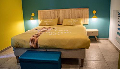 Large Double or Twin Room