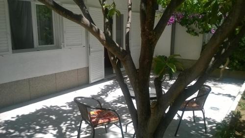 Apartment with Garden View