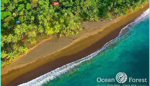 Superior Double or Twin Room with Sea View