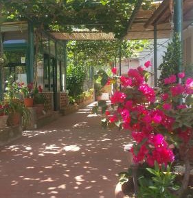 Deluxe Double Room with Extra Bed