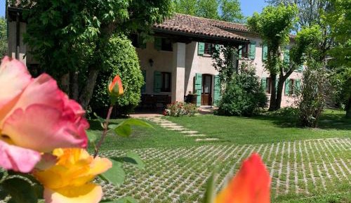 Villa with Garden View