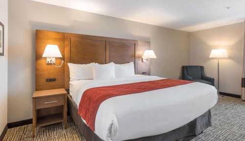 King Room - Non-Smoking