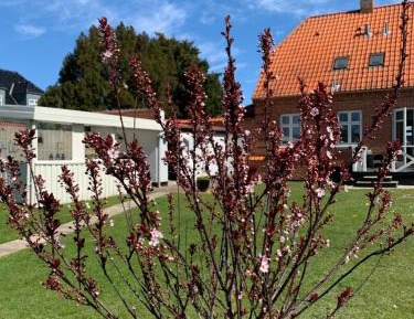 One-Bedroom Apartment (Basement)