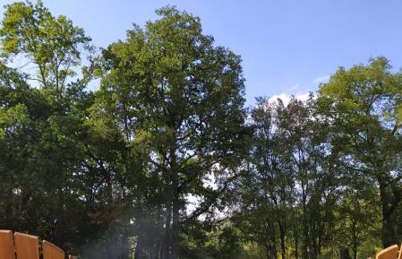 Double Room with Lake View