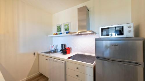 One-Bedroom Apartment with Lake View