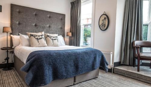 Superior Double or Twin Room