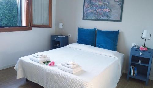 King Room with Garden View