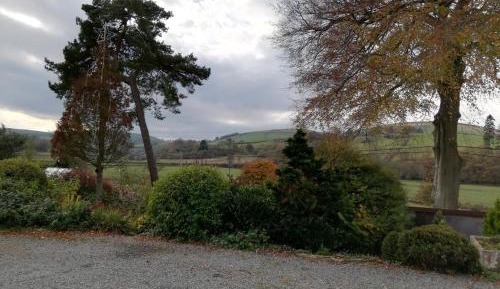 Twin Room with Shower