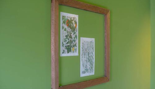 Single Room with Shared Bathroom