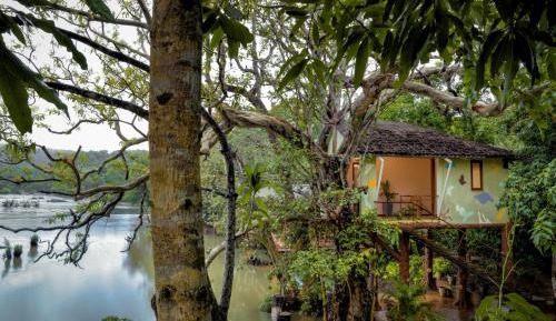 Tree House