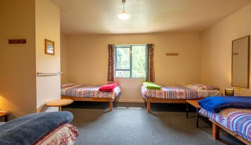Bed in 4-Bed Mixed Dormitory Room
