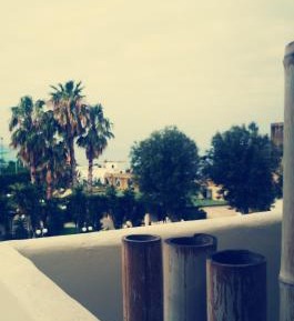 King Room with Garden View