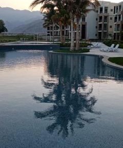 Studio Apartment with Sea View