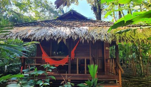 Queen Bungalow with Jungle View