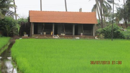 Double Room with Garden View
