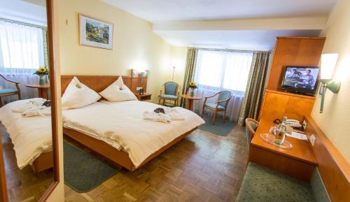 Superior Single Room