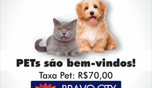 Triple Room with 3 Single Beds