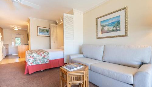 Studio with Pool or Garden View