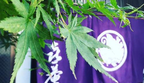 Two-Bedroom Townhouse