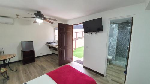 Studio with Garden View