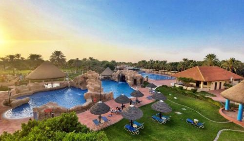 Oasis Deluxe King Room with Pool View