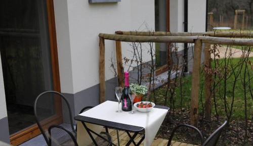 Junior Suite with Terrace