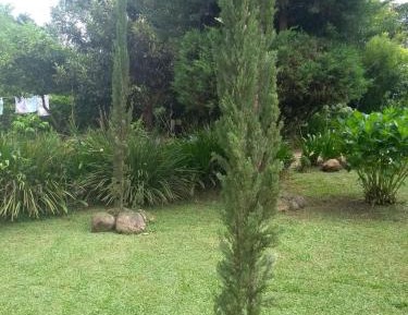 Three-Bedroom Chalet