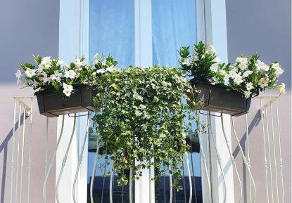 King Room with Balcony