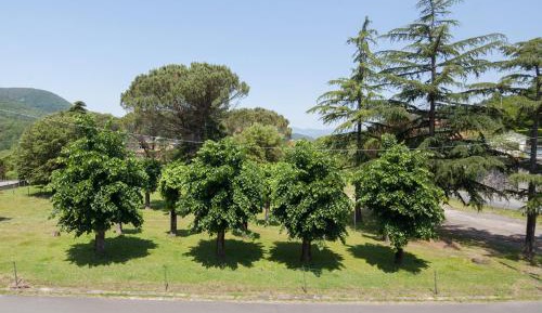 Economy Double or Twin Room