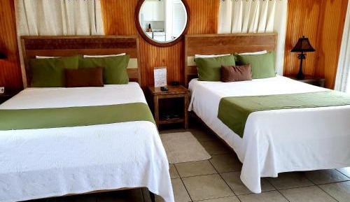 King Studio with Sofa Bed