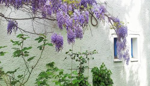 Apartment with Shower
