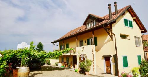 Double Room with Mountain View