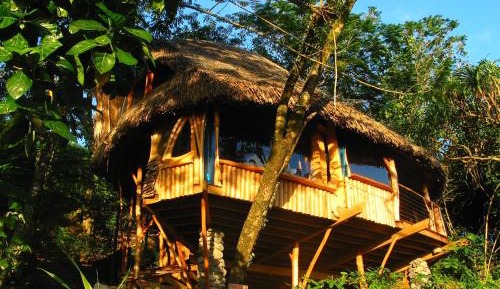 Maara Nature Bungalow 
