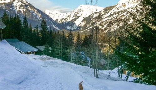 Three Bedroom holiday home 