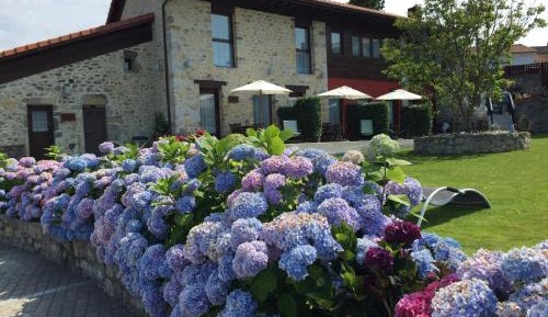 Apartment - Split Level