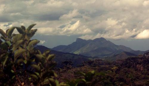 Apartment with Mountain View