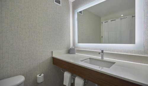 King Suite - Communications and Mobility Accessible Tub
