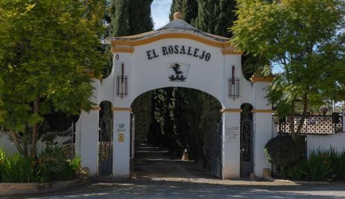 Superior Twin Room with Garden View