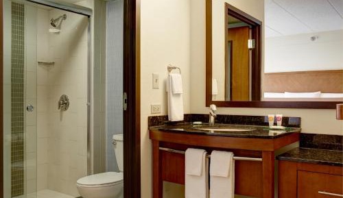 King Room with Sofa Bed and Accessible Tub - Disability Access