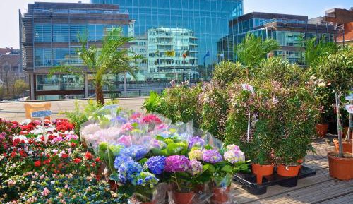 One-Bedroom Apartment (5 Adults)