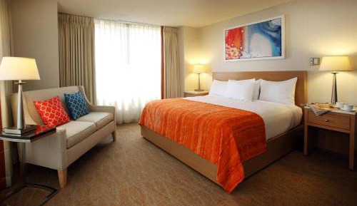 NORTH DELUXE ROOM 1 KING NON-SMOKING