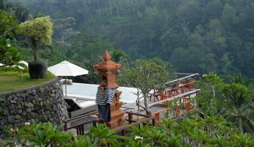 Jungle View Deluxe Room