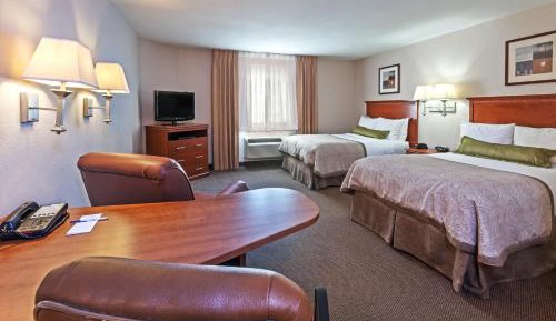 Studio Suite with Two Double Beds