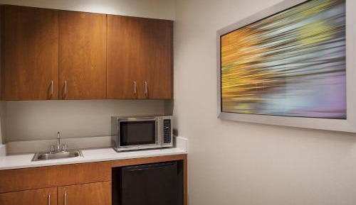 King Studio Suite - Mobility Access with Roll-in Shower